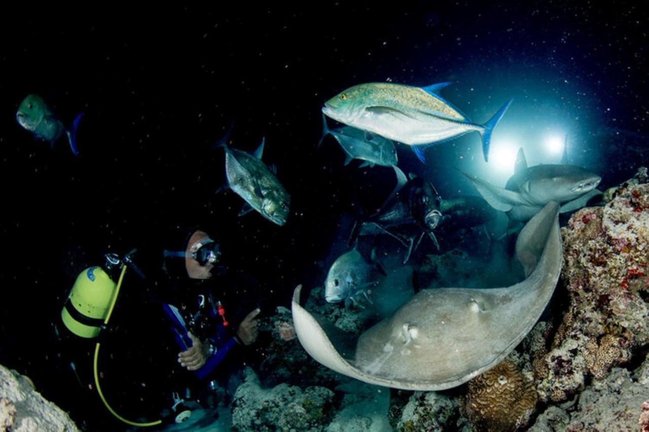 Hotel And Dive Center Roatan Yacht Club French Harbour 외부 사진