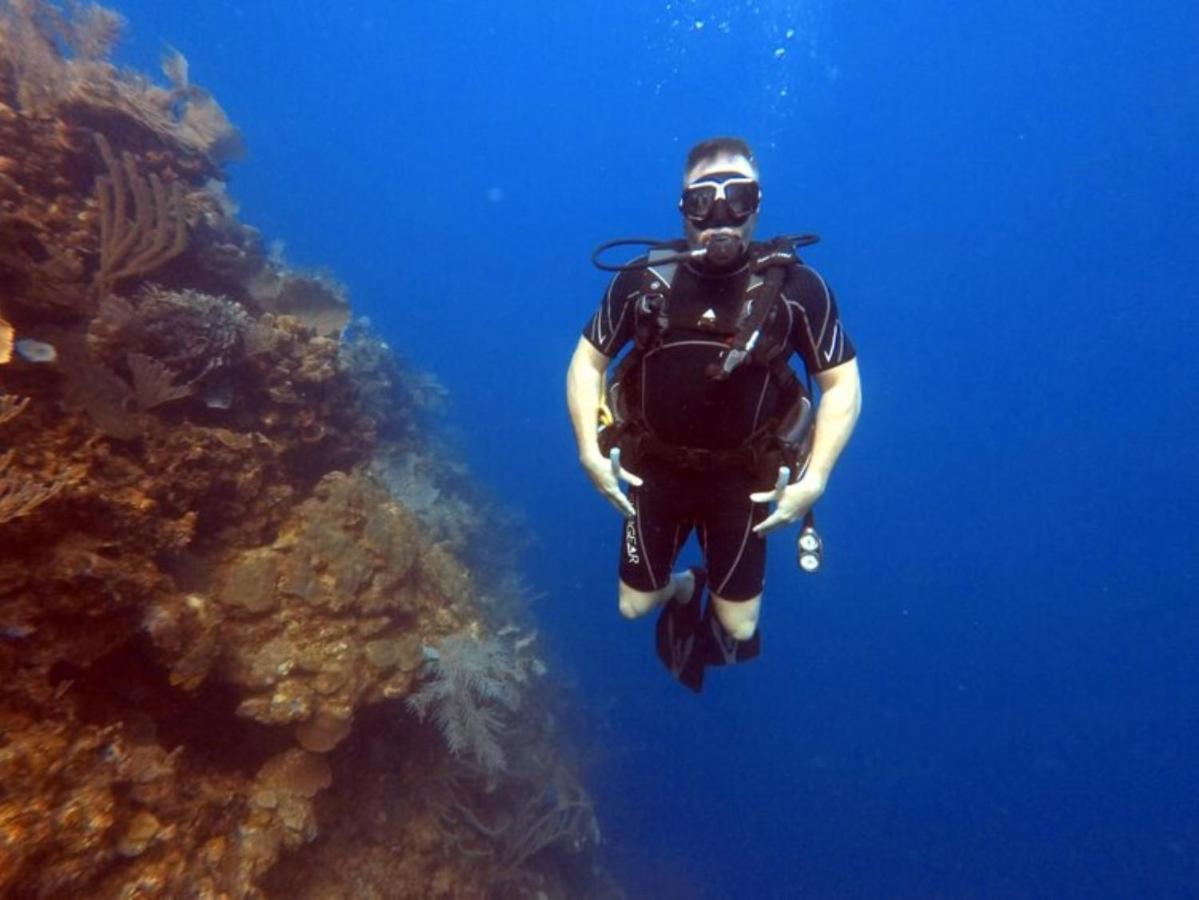 Hotel And Dive Center Roatan Yacht Club French Harbour 외부 사진