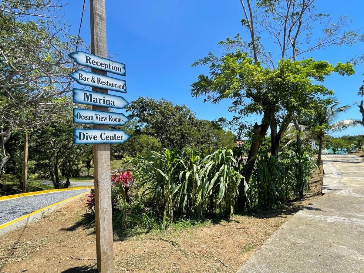 Hotel And Dive Center Roatan Yacht Club French Harbour 외부 사진